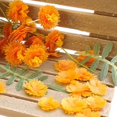 Image of <b>NEW:</b> Marigold Stnciles
