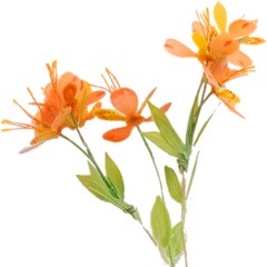 Image of <b>NEW</b>: Alstroemeria Stencils